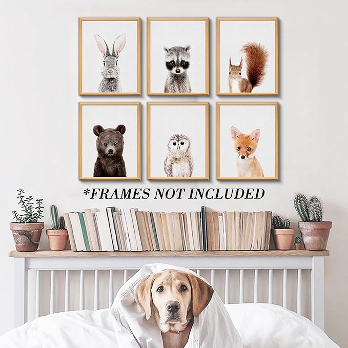 calmart Jungle Nursery Wall Art Decor, 6pcs Animal Prints, Safari Themed Bedroom Decorate