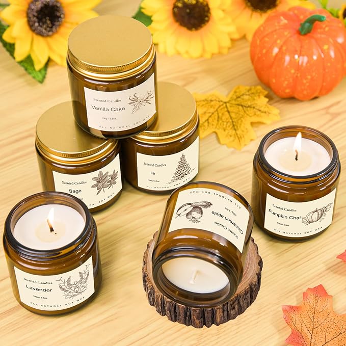 6 Pack Scented Candles for Home, Aromatherapy Gifts for Women Men, Fall Winter Holiday Natural Soy Candles Set for Birthday, Mother's Valentines Day Gifts for Her
