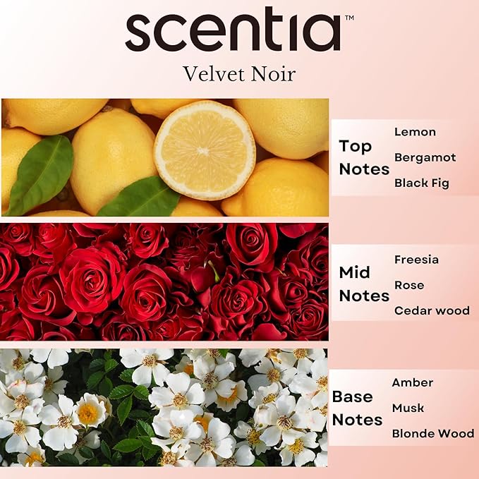 Hotel Diffuser Oil Inspired by The Edition Hotel Scent - 20 mL 0.67 fl oz - Essential Oil Blend Rose, Bergamot, Lemon and Musk Notes for Aromatherapy Diffusers and Humidifiers - Noir Mystique
