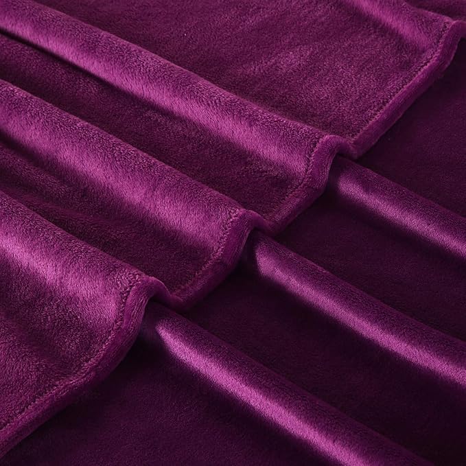 TASTHROW Large Flannel Fleece Throw Blanket, 50×70 Inch - Cozy Lightweight Thick Blanket - All Seasons Suitable for Women, Men and Kids (Two Pack, Purple)