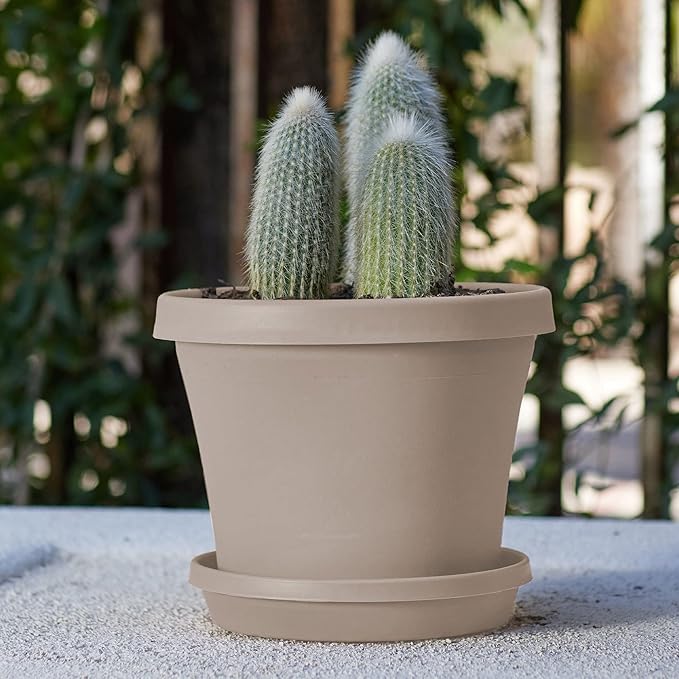 Bloem Terra Pot Planter: 12" - Pebble Stone Beige - Durable Resin Pot, for Indoor and Outdoor Use, Gardening, 3.5 Gallon Capacity, Saucer Sold Separately