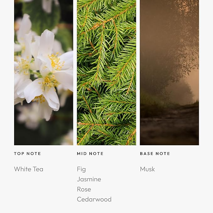 Aroma360 Fragrance Diffuser Oil - Luxury Hotel Inspired - Graceland - 200mL