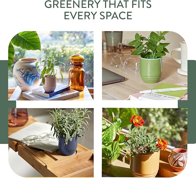 Modern Sprout Garden Vibes 2-in-1 Soy Candle & Planter - 3-Pack Indoor Set (Violet Hour, in The Weeds, Golden Moments) 6 Oz Scented Candles with Lavender, Sage & Mint Seeds – 38–40 Hr Burn Each