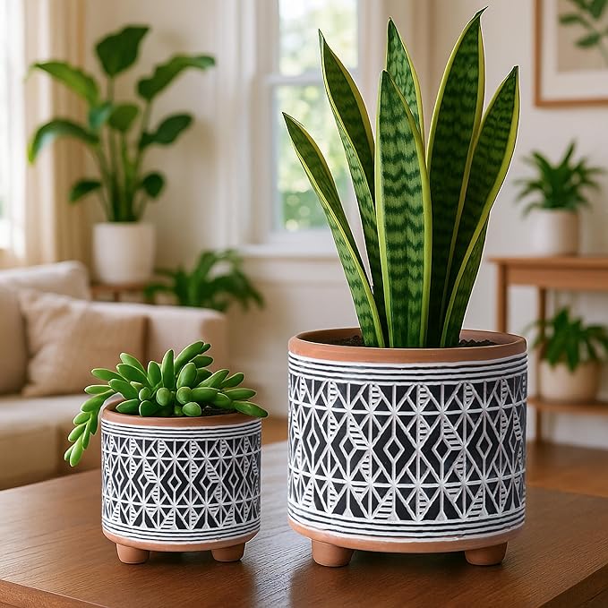 D'vine Dev Set of 2 Terracotta Planter Pots, 4 Inch & 6 Inch, Design Plants Pot with Drainage Hole, Midnight Weave, Terracotta/Black, 31-953-G-2