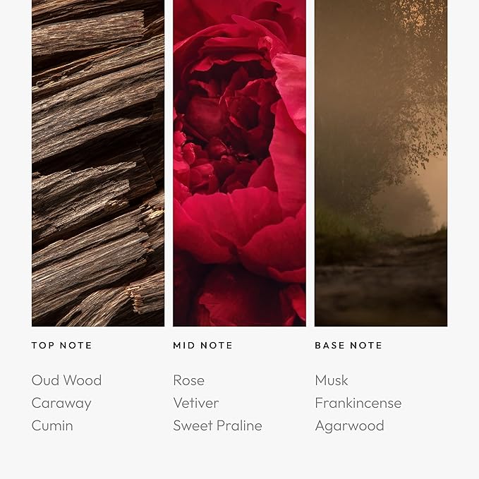 Aroma360 Desert Rose 200mL