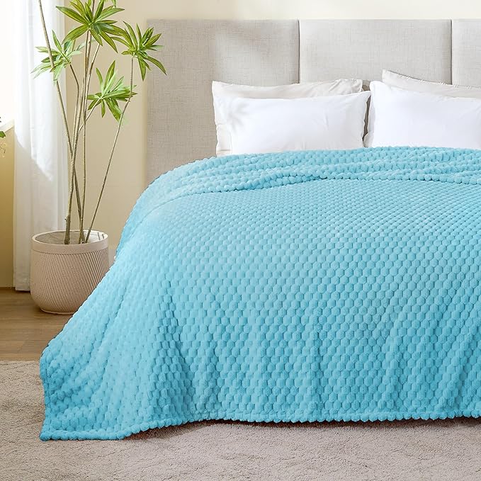 BEDELITE Fleece Blanket Twin Size for Bed Couch, 3D Jacquard Decorative Light Blue Throw Blanket, Soft and Cozy Warm Plush Fuzzy Blanket All Seasons Suitable, 60x80Inches