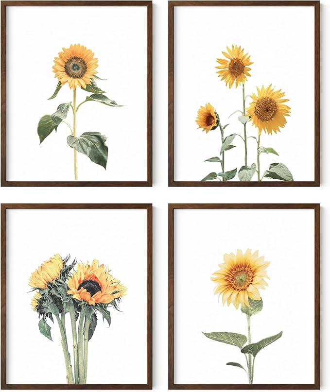 HAUS AND HUES Sunflower Set Collage 16x20 - Framed Walnut