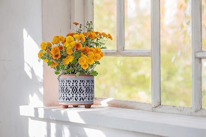 D'vine Dev Set of 2 Terracotta Planter Pots, 4 Inch & 6 Inch, Design Plants Pot with Drainage Hole, Midnight Weave, Terracotta/Black, 31-953-G-2