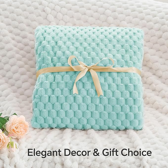 BEDELITE Fleece Blanket Twin for Bed Couch, 3D Jacquard Decorative Cloud Blue Throw Blanket, Soft and Cozy Warm Plush Fuzzy Blanket All Seasons Suitable, 60x80Inches