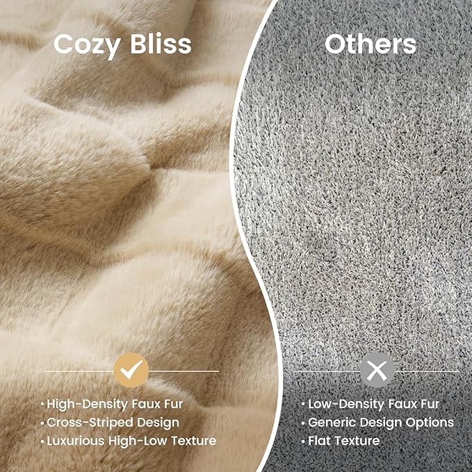 Cozy Bliss Fluffy Faux Fur Throw Blanket for Couch,Lightweight Cozy Soft Beige Throw Blankets for Sofa Bed Living Room,60x80 Inches
