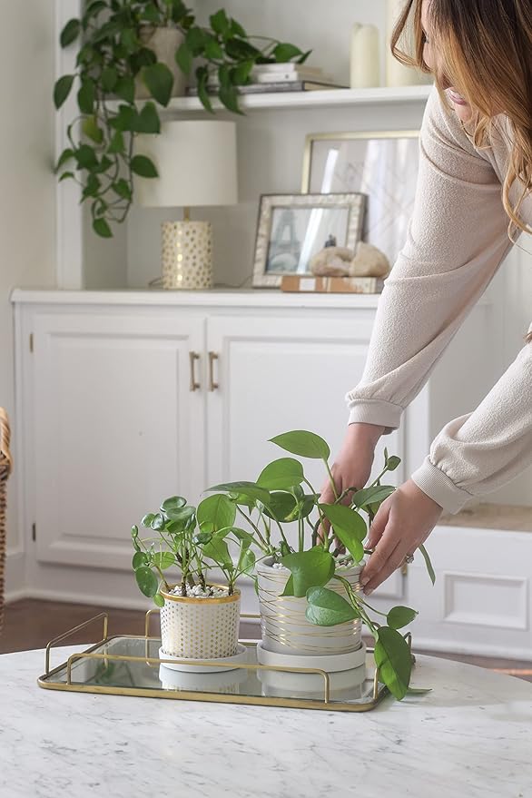 Willowy White and Metallic Gold Pot Bundle - 6 Inch and 4.5 Inch pots - Includes Saucers, Drainage Plugs, and Decorative Pebbles