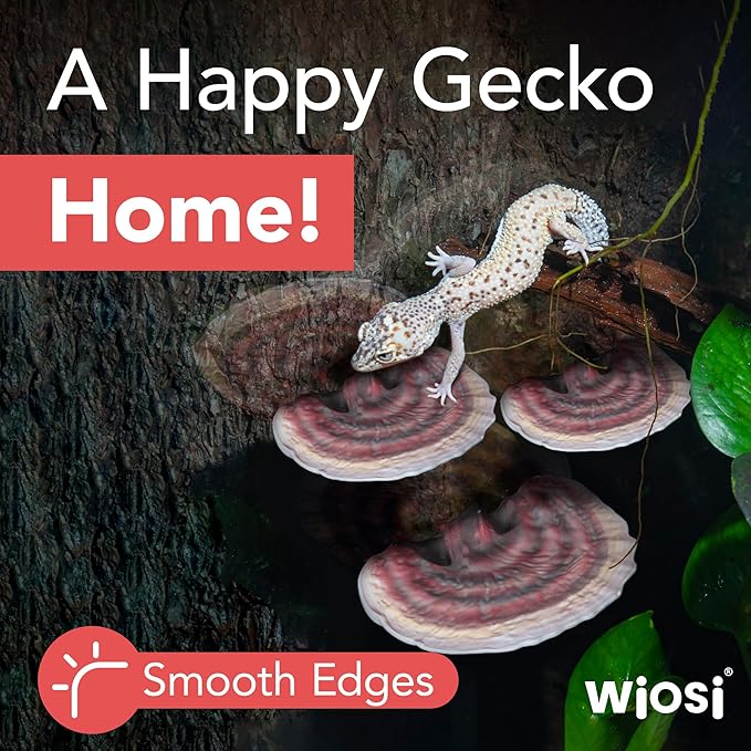 Wiosi 5-Piece Turkey Tail Reishi Mushroom Floating Shelves for Decorating Wall | Shelves for Room Wall | Perfect Floating Shelves for Room Decor | Leopard Gecko Tank Accessories