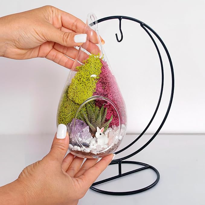 Plant Terrarium Kit W/Live Succulent (Fresh from Florida), Choose Your Glass DIY Terrarium Starter Kit for Adults, Metal Stand, Reindeer Moss, Crystal & Rocks, Tools, Figurine