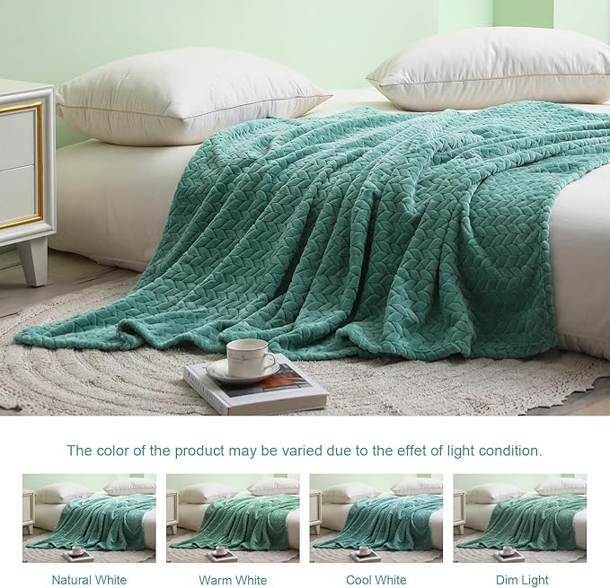 Exclusivo Mezcla Celadon Fleece Throw Blanket for Couch and Bed, 50x70 Inches Soft Cozy Jacquard Flannel Blankets, Lightweight Fuzzy Plush Warm Throws for All Seasons