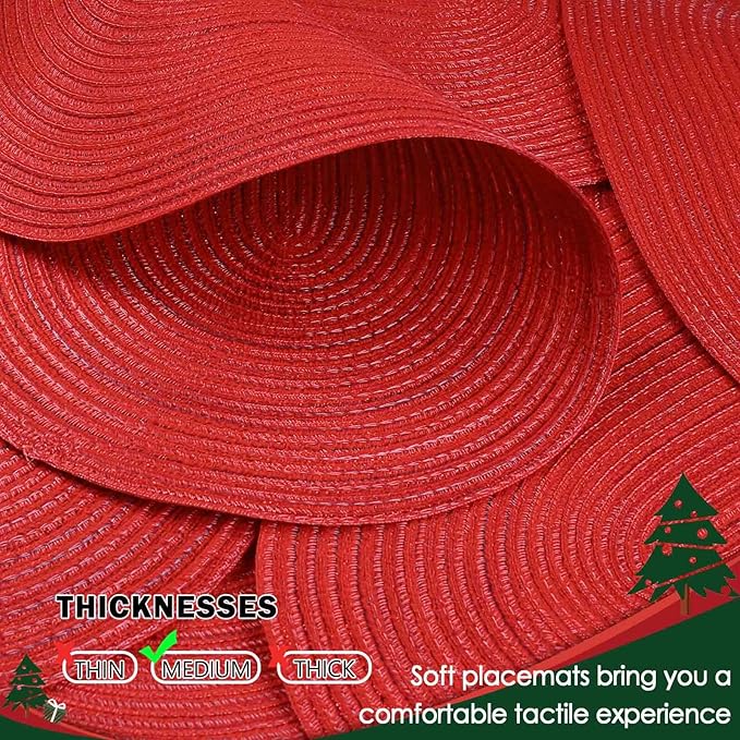 Noctiflorous Oval Braided Placemats Set of 6 Woven 12x18 Inch Non Slip Washable Heat Resistant Place Mats Round Tablemats for Dining Kitchen Party Daily Table Decor Dinner Mats (05 Red Shine, 6)
