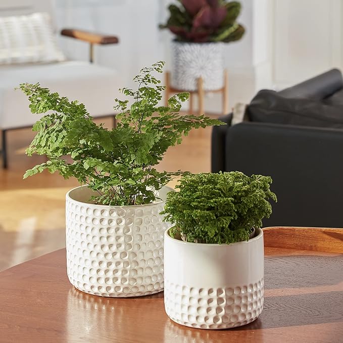 La Jolie Muse Ceramic Planter Flower Plant Pots- 6.7+5.5 Inch Concave Dot Patterned Cylinder Flower Pot W/ Drain Hole for Indoor, Set of 2, Ivory