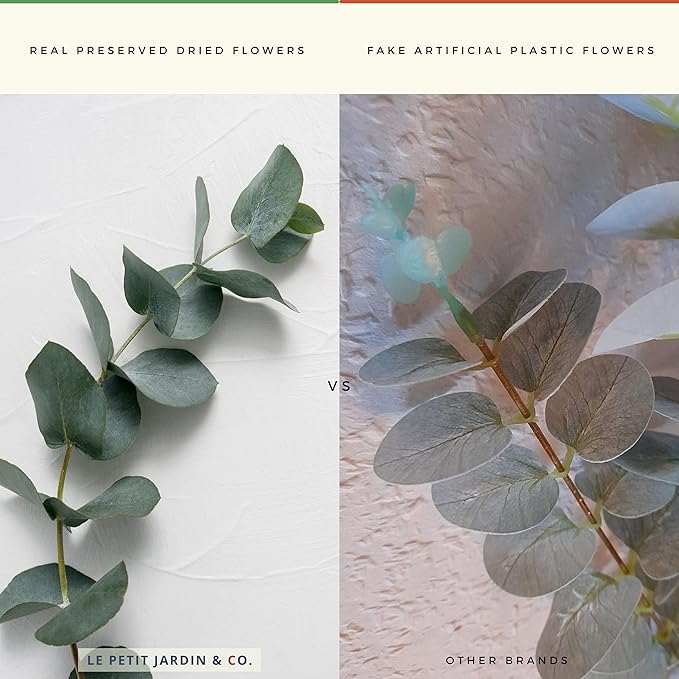 Reed Diffusers - Oil Sticks Diffuser Set with Real Dried Flowers - Reed Diffusers for Home, Bathroom & Office | Air Freshener Fragrance Sticks for Shelf Decor & Gifts by Le Petit Jardin & Co.