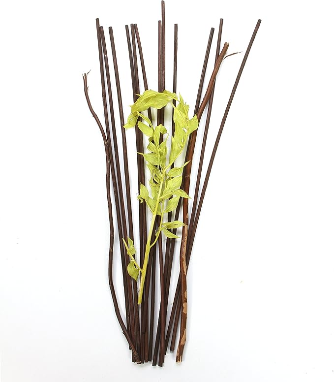 Aromatherapy Hosley's Set of 3 Botanical Diffuser Reeds - 12.5-Inch High Green/Brown for Home Decor, Bathroom Decor, Bathroom Accessories, Weddings, Meditation, Reiki
