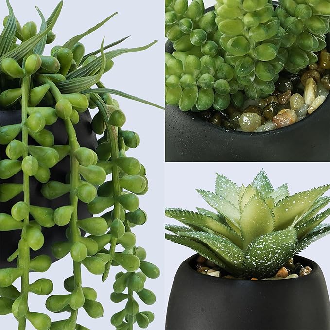 Winlyn Set of 3 Artificial Succulents Plants in Black Cement Planters Faux Potted Plants Aloe String of Pearls Donkey Tail Small House Plants 5" Tall for Table Shelf Home Office Bathroom Living Room
