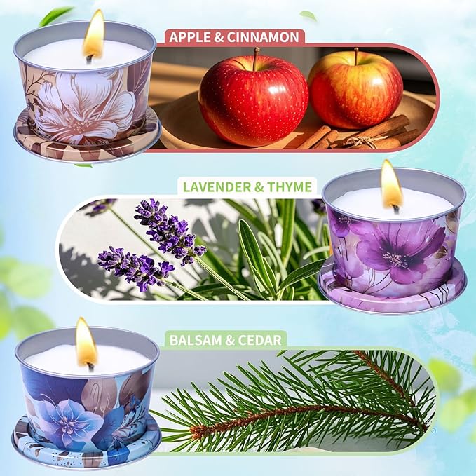 Soy Wax Aromatherapy Candles 3-Pack - 10H Burning Smokeless Candles, Non-Toxic Essential Oil Blend for Stress Relief & Sleep, Lavender Thyme/Apple Cinnamon/Balsam Cedar, Eco-Friendly Gift Set (2.2oz)