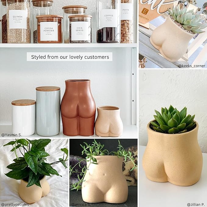 BASE ROOTS Plant Pot Ceramic Planter Vase with Drainage for Succulents, Cactus, Flowers - Ideal for Boho Indoor & Outdoor Garden, Aesthetic Living Room, Bedroom, Desk Organizer Decor & Gift Idea