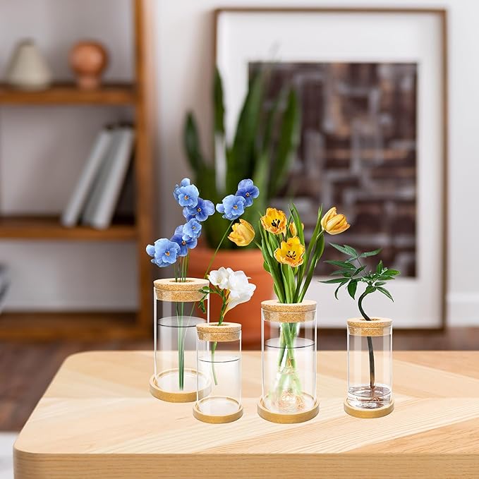 8 Pcs Plant Terrarium Desktop Glass Planter Plant Propagation Tabletop Propagation Vase Containers with Cork and Wooden Saucer for Growing Hydroponic Plants Garden Home Office Decor-