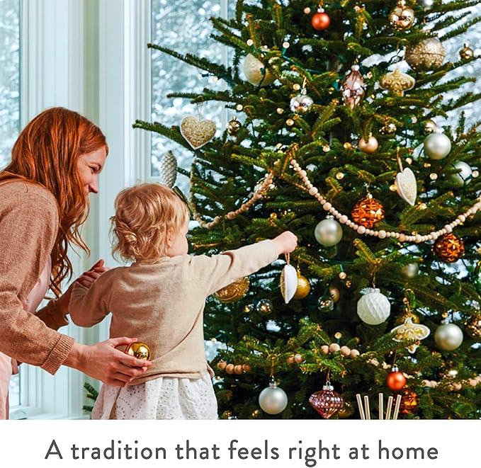 Thymes Frasier Fir Candles - Statement Collection - Silver with Pine Needle Design - Scented Candles for Home Decor - Notes of Siberian Fir Needles, Cedarwood & Sandalwood - Petite (5 oz)