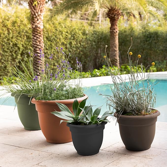 Bloem Ariana Self Watering Planter: 16" - Chocolate - Durable Resin Pot, for Indoor and Outdoor Use, Self Watering Disk Included, Gardening, 6 Gallon Capacity