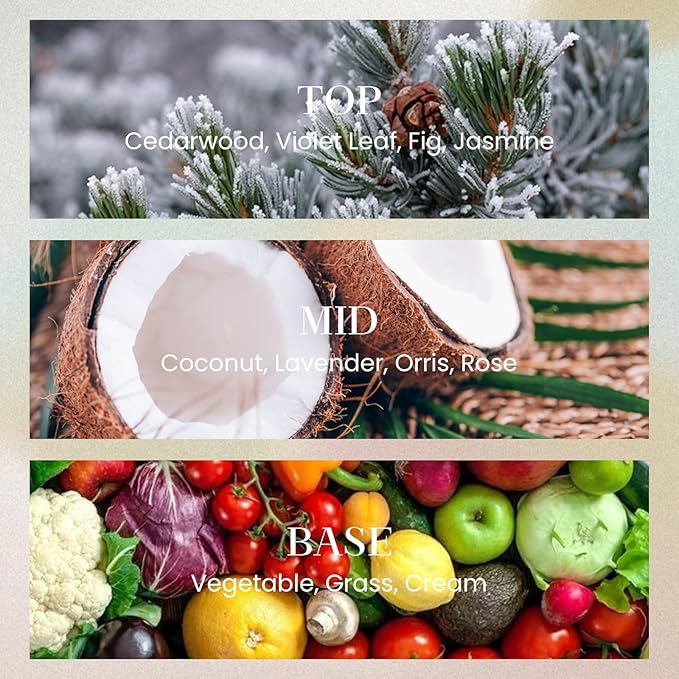 M&SENSE 10.14 oz Large Reed Diffuser |Under The FIG Scent Home Oil Diffuser with Sticks |Long Lasting Non-Toxic Essential Oil |Reed Diffuser for Bathroom Shelf Decor