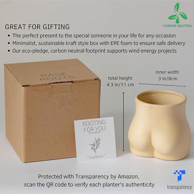 BASE ROOTS Plant Pot Ceramic Planter Vase with Drainage for Succulents, Cactus, Flowers - Ideal for Boho Indoor & Outdoor Garden, Aesthetic Living Room, Bedroom, Desk Organizer Decor & Gift Idea