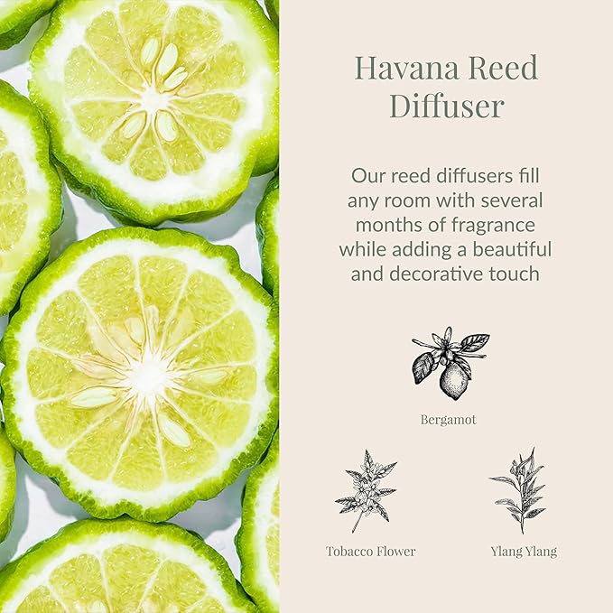 Archipelago Botanicals Havana Reed Diffuser, Home Fragrance Reed Diffuser, Includes Fragrance Oil, Frosted Glass Vessel & 10 Diffuser Reeds, Perfect for Home, Office or Gift, 7.6 Fl Oz