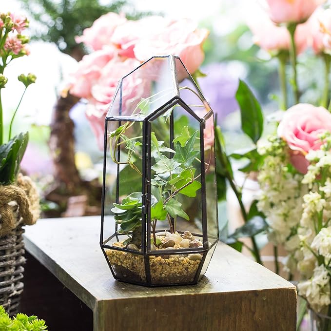 NCYP Small 5.1" x 5.1" x 8.66" Irregular Geometric Glass Terrarium Planter with Door - Home Tabletop Display Container Pot for Succulents, Cacti - Indoor Clear Decor, Black (No Plants)