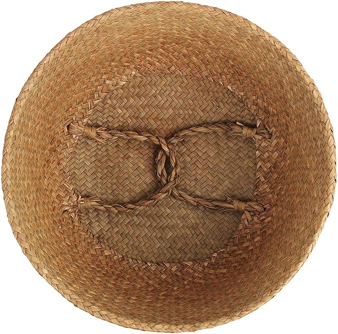 Woven Seagrass Wicker Basket with Handle - Planters for Indoor Plants, Storage & Picnic Basket Organizer, Garden Basket Fits 6-7 Inch Plant Pots & Groceries (Small, Original)