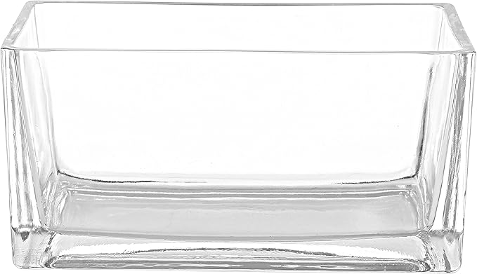 MyGift 7.8 inch Modern Rectangular Glass Vase, Trough Planter, Tabletop Glass Terrarium