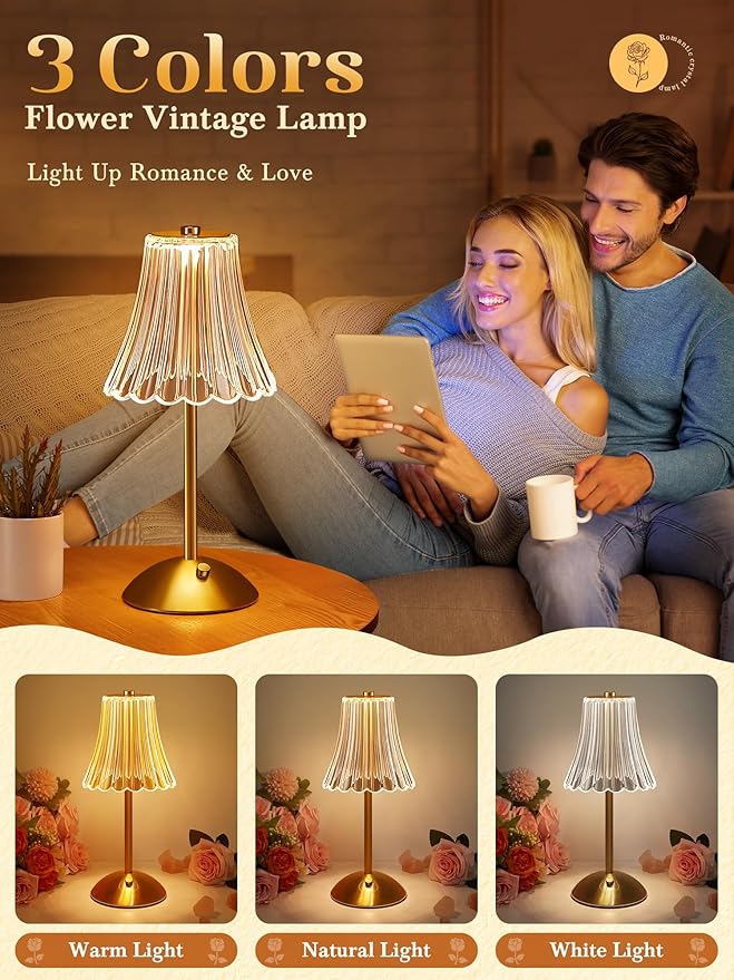 Vintage Lamp,2000mAh Rechargeable Lamps Cordless Lamp,3 Colors+10 Brightness Small Battery Operated Lamps for Bedroom