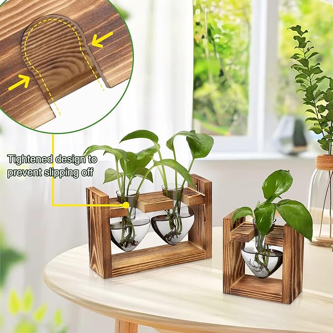 2+1 Plant Terrarium Plant Propagation Station Birthday Gifts for Women Plant Lovers Home Office Decor with Wooden Stand