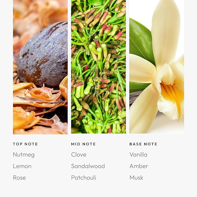 Aroma360 Midnight In Paris 500mL