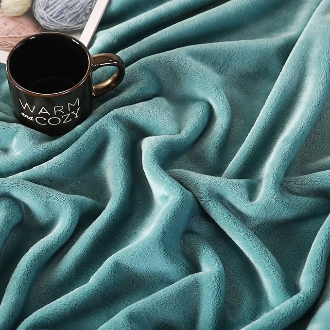 TASTHROW Large Flannel Fleece Throw Blanket, 50×70 Inch - Cozy Lightweight Thick Blanket - All Seasons Suitable for Women, Men and Kids (Bluishgreen)