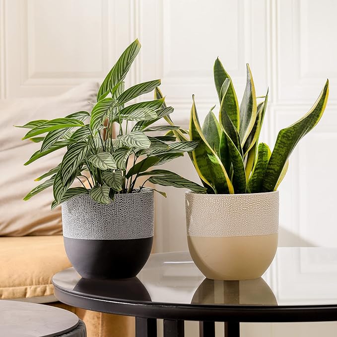 UBEE Ceramic Flower Pot Plant Pot for Indoor Plants | 6 inch Planter with Drainage Hole for Aloe, Snake Plants, Pothos, Orchid, Succulents, Herbs, Home Decor, Beige