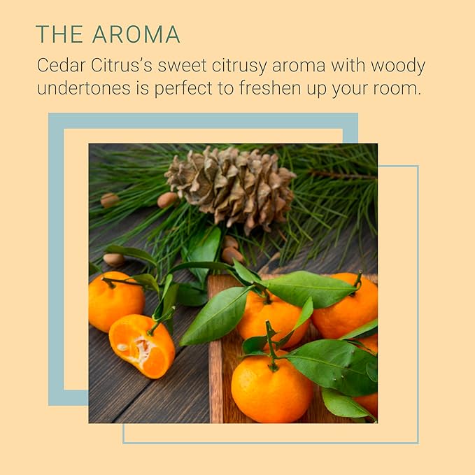 SpaRoom Reed Diffuser Oil Refill – Cedar Citrus Scent, 8oz Bright and Earthy Blend with Lemon Essentials, Invigorating Aroma for Home, Spa, or Office, Long Lasting Fragrance Solution
