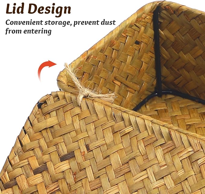 Seaweed Baskets with Lids: Seagrass Storage Woven Basket Straw Desktop Rattan 9 inch Hand- Woven Storage Basket Bins Container Organizer for Shelf Desktop Home Decor