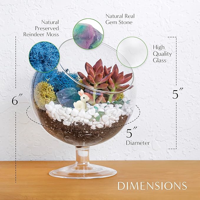 DIY Glass Plant Terrarium Kit for Adults, Metal Stand, Reindeer Moss, Crystals, Rocks, Tools & Figurine – Complete Starter Set