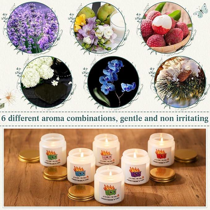 12 Pack Funny Farewell, Leaving, Goodbye, New Job Retirement Appreciation Gifts for Coworker Dumpster Fire Scented Aromatherapy Candles for Employee Friends 6 Fragrances Soy Wax Candles