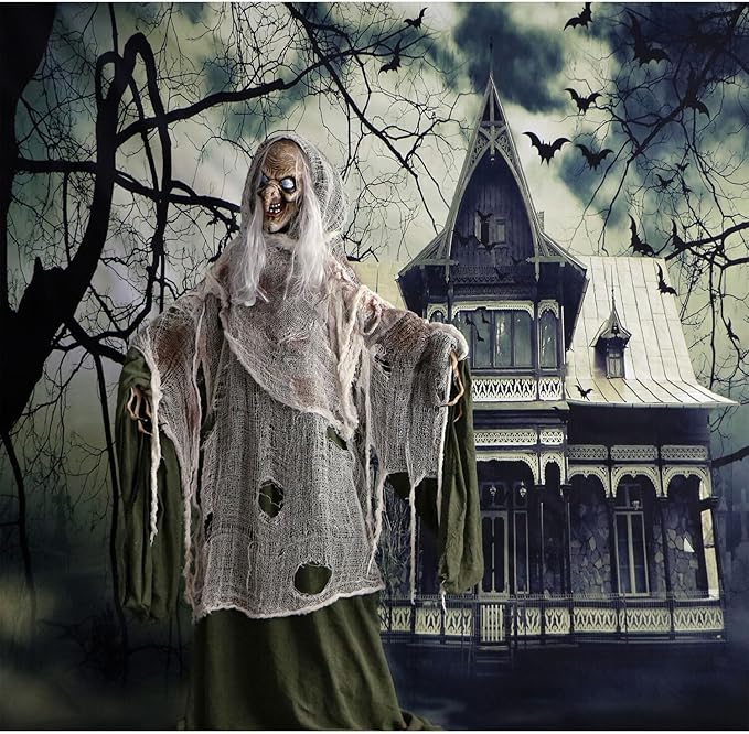 Haunted Hill Farm Life-Size Scary Talking Witch, Animatronic with Touch Activated Lights and Sound, Battery Operated Indoor or Covered Outdoor Decoration, Creepy Halloween Prop