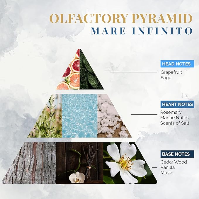 Logevy Firenze 1965 Mare Infinito – Infinite Sea Luxury Home Fragrance Diffuser from Master Perfumer in Italy with Refreshing Notes in Elegant Glass Bottle with 10 Natural Bamboo Reeds – 250ml