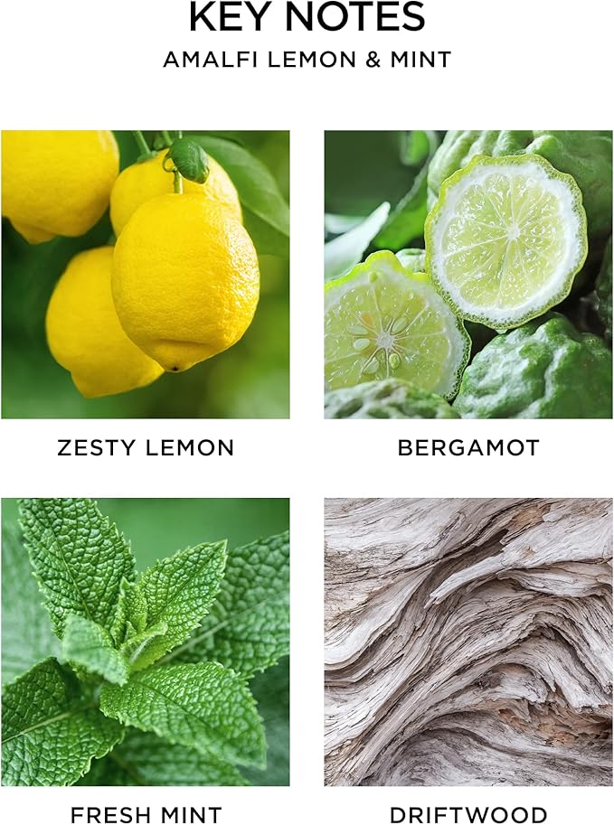 NEST New York Scented Classic Candle, Amalfi Lemon & Mint - 8.1 oz - Up to 60-Hour Burn Time - Reusable Glass Vessel
