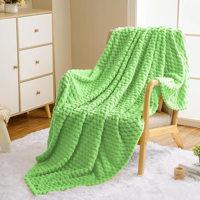 Vessia Flannel Fleece Throw Blanket, 3D Jacquard Light Green Fuzzy and Warm Blanket for Couch,Sofa,Bed,Chair, 300GSM Soft Touch Cozy Throw for All-Season Home Decor(50x40inch)
