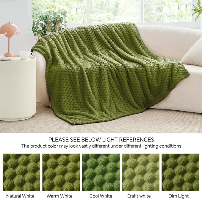 BEDELITE Fleece Blanket Twin for Bed Couch, 3D Jacquard Decorative Green Apple Throw Blanket, Soft and Cozy Warm Plush Fuzzy Blanket All Seasons Suitable, 60x80Inches