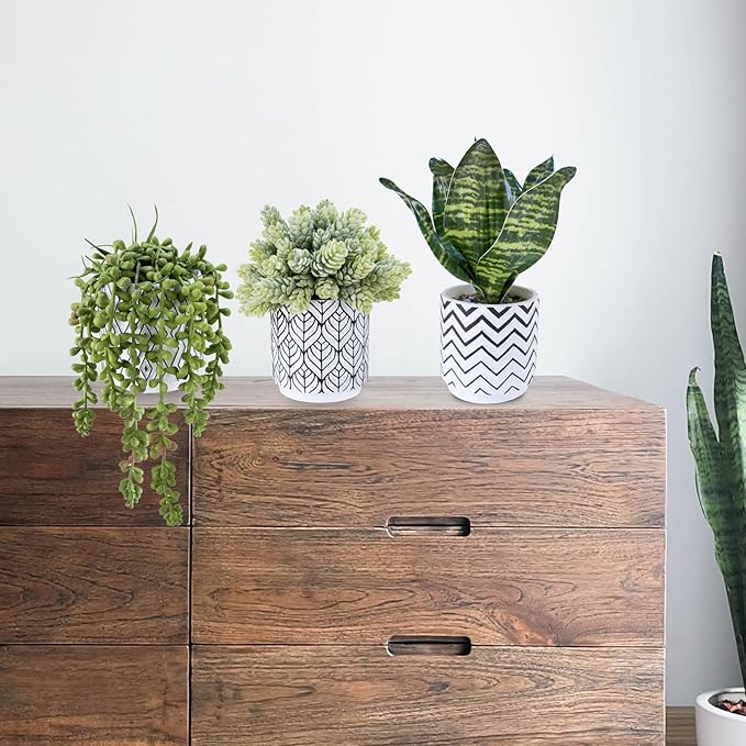 Winlyn Set of 3 Artificial Potted Succulent Plants Faux Snake Plant Hops String of Pearls in Black White Geometric Planter Small Fake Desk Plants for Kitchen Bathroom Shelf Desk Table Windowsill Decor