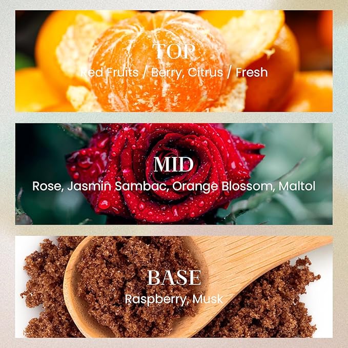 M&SENSE 10.14 oz Large Reed Diffuser | RED Camelia Scent Home Oil Diffuser with Sticks |Long Lasting Non-Toxic Essential Oil |Reed Diffuser for Bathroom Shelf Decor